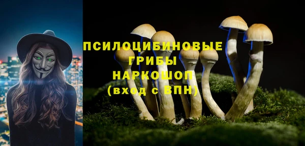 гашик Верхний Тагил