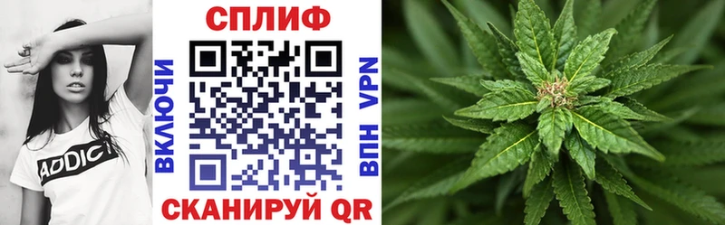 darknet телеграм  где купить наркоту  Волчанск  Каннабис индика 